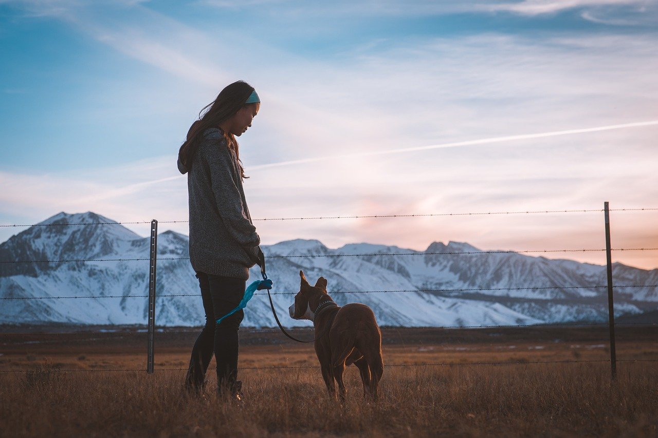 10 Best Guard Dogs For Women