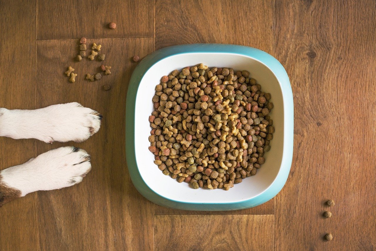 Affordable and Healthy Dog Food Choices