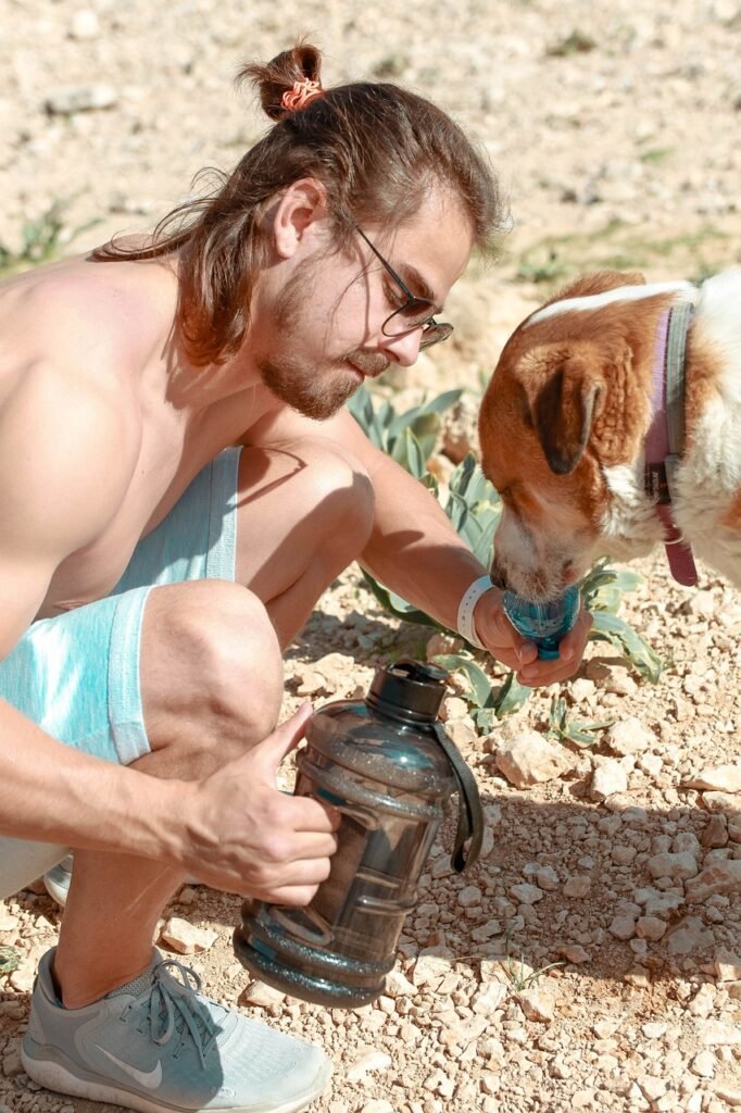 Outdoor Dog Water Fountain for your dogs 